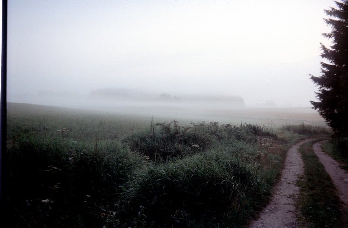 1981 tabor Sherif 010 resize